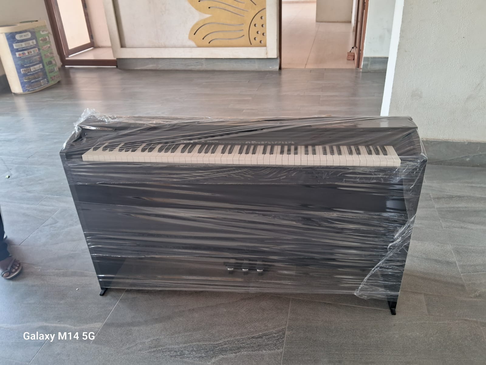 Sofa Packing